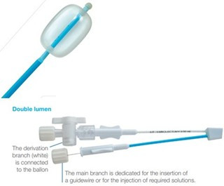 Embolectomy catheters - double lumen