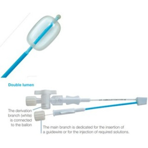 Embolectomy catheters - double lumen